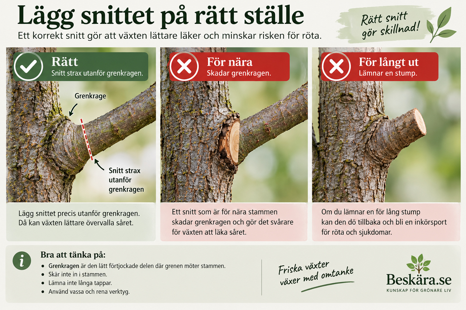 Snitt